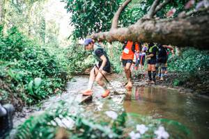 BIB: 
                            <button type="button" onclick="openModal(25517576)" class="btn btn-primary btn-sm float-right btn-popup" data-toggle="modal" data-target=".modal-high-quality">
                        <i class="fas fa-shopping-cart"></i> Add to Cart
                    </button>
                                            <button type="button" onclick="isThisMe(25517576, true)" class="btn btn-success btn-sm float-right btn-popup btn-isme hidden" data-toggle="tooltip" data-placement="bottom" title="นี่คือรูปของคุณใช่ไหม คลิกที่นี่เพื่อเอาเข้าอัลบั้ม">
                        <i class="fas fa-plus"></i> Add to album
                    </button>
                    <button type="button" onclick="isThisMe(25517576, false)" class="btn btn-warning btn-sm float-right btn-popup btn-isnotme hidden">
                        <i class="fas fa-ban"></i> Remove from album
                    </button>